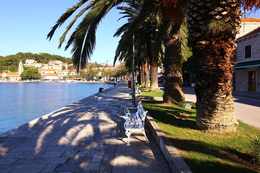 Joy * Cavtat
